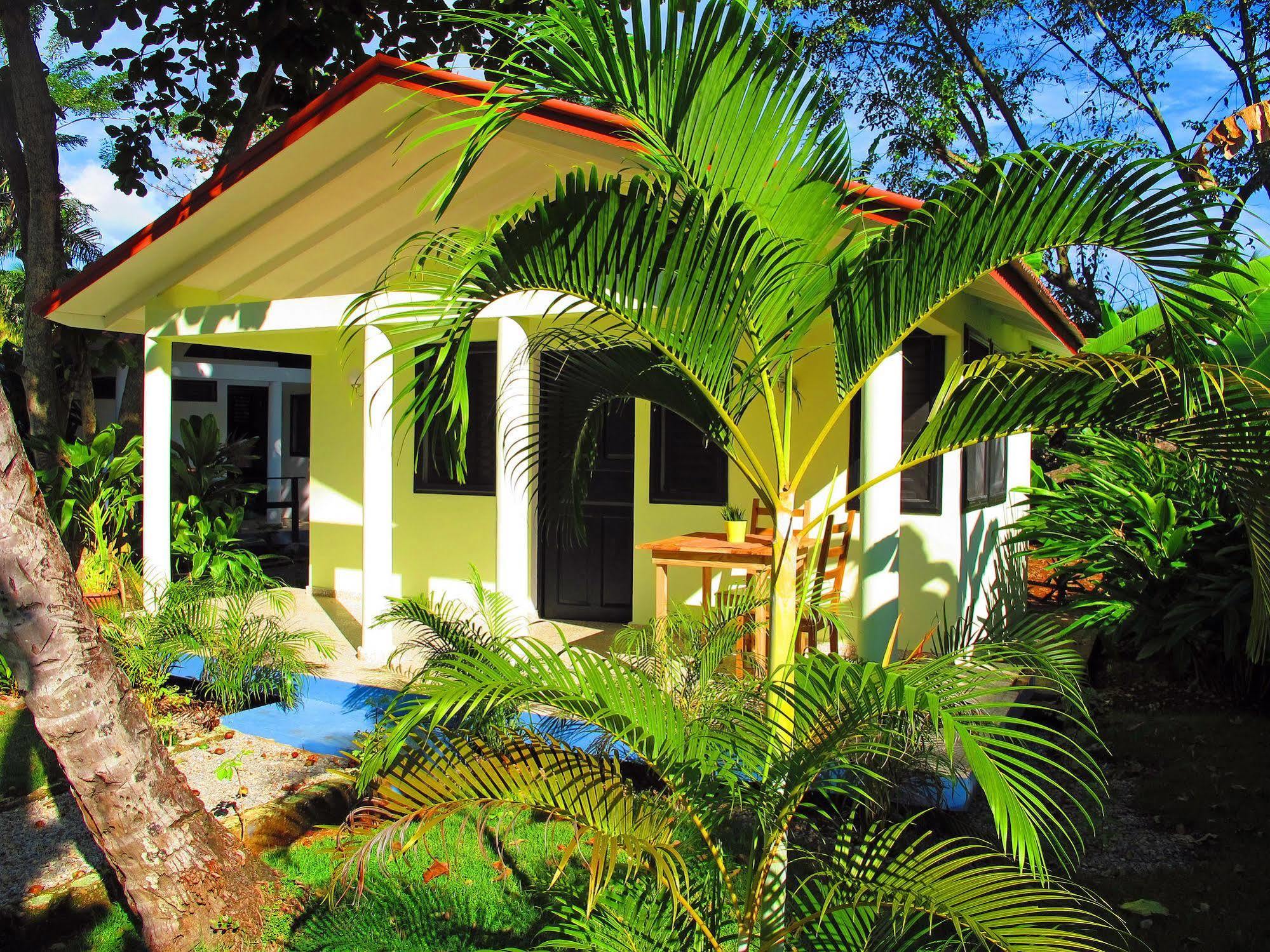 Bungalows Of Las Galeras Eksteriør billede
