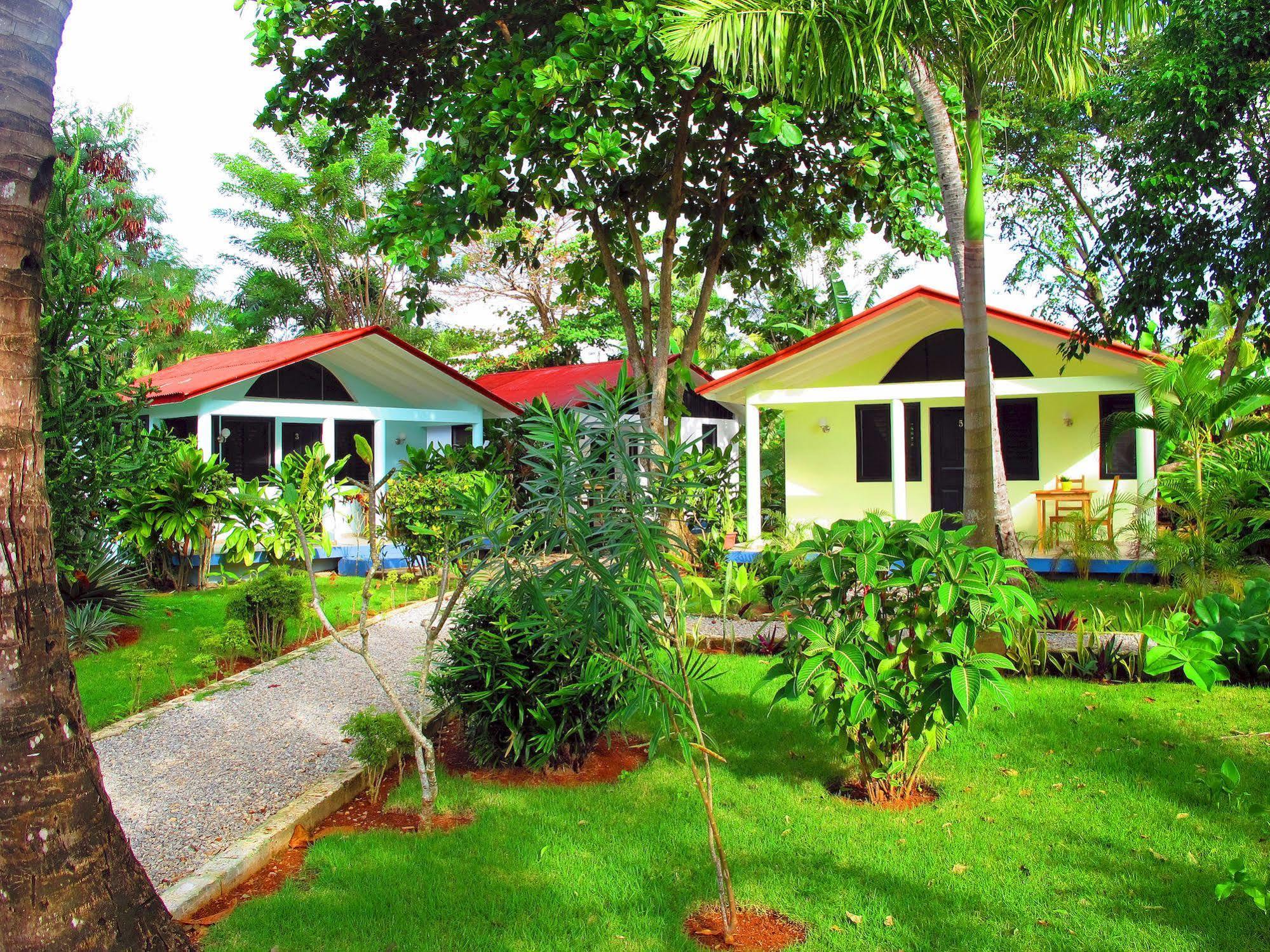 Bungalows Of Las Galeras Eksteriør billede
