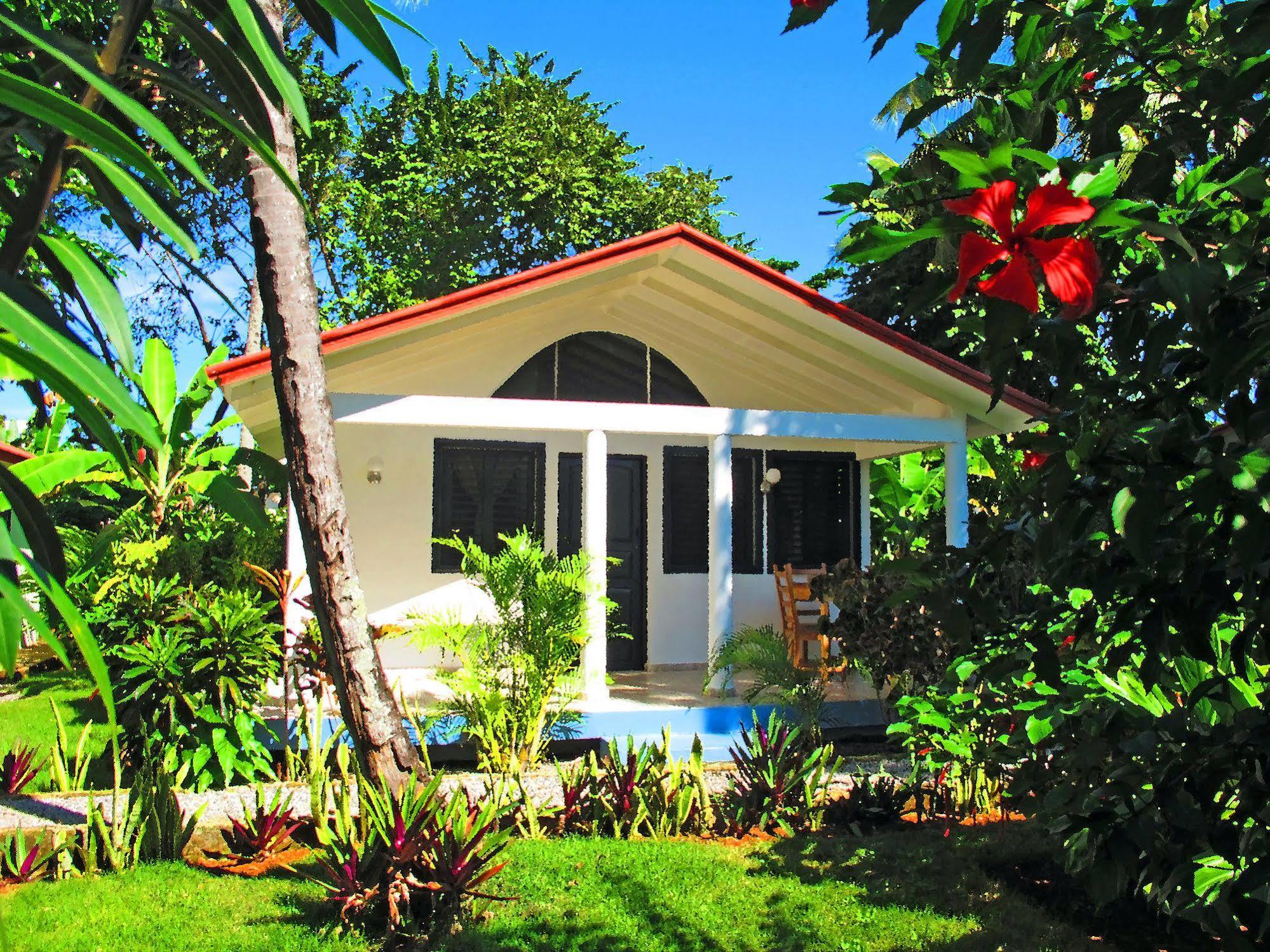 Bungalows Of Las Galeras Eksteriør billede